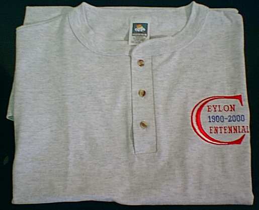 Grey T-Shirt